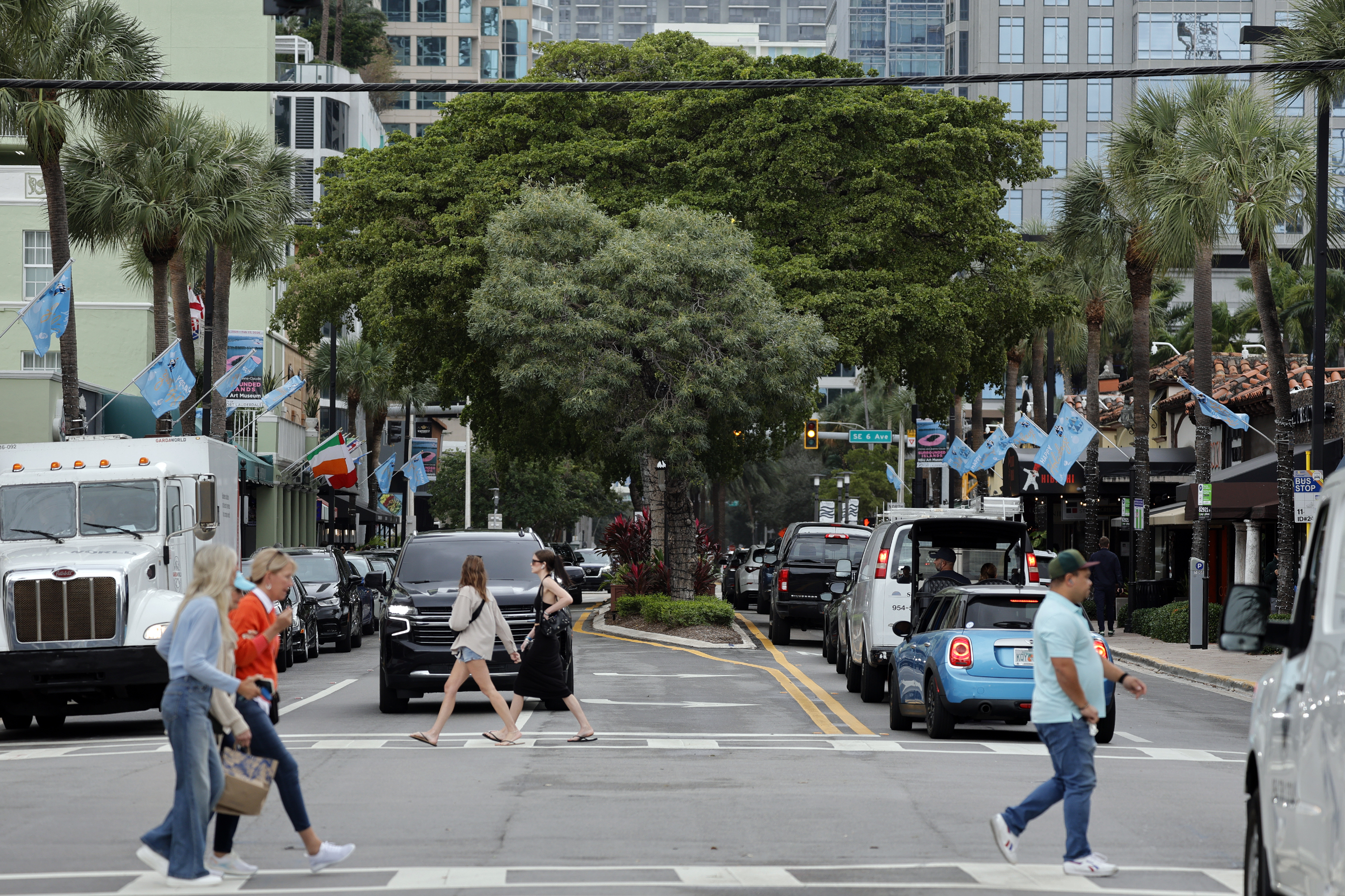 Black olive trees line the median along Las Olas Boulevard in Fort Lauderdale on Monday. A long-planned makeover would eliminate the tree-lined median. (Amy Beth Bennett/South Florida Sun Sentinel)